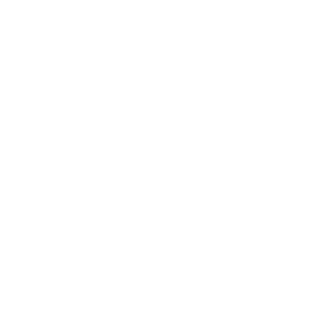 Emblema PLLI blanco